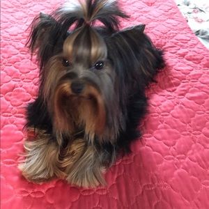 Meet your Posher, Barbara